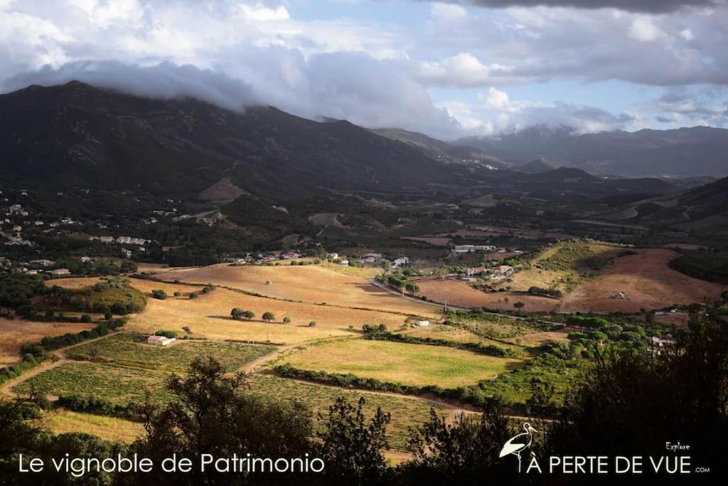 Studio Terremer Patrimonio Buitenkant foto